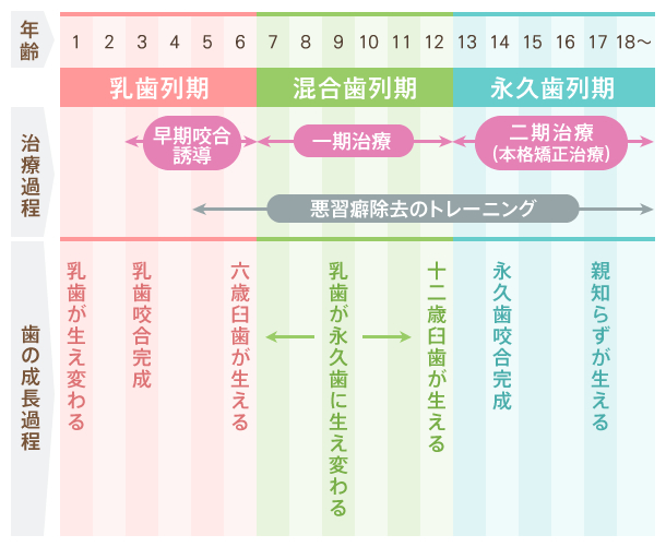 子どもの矯正（小児矯正）